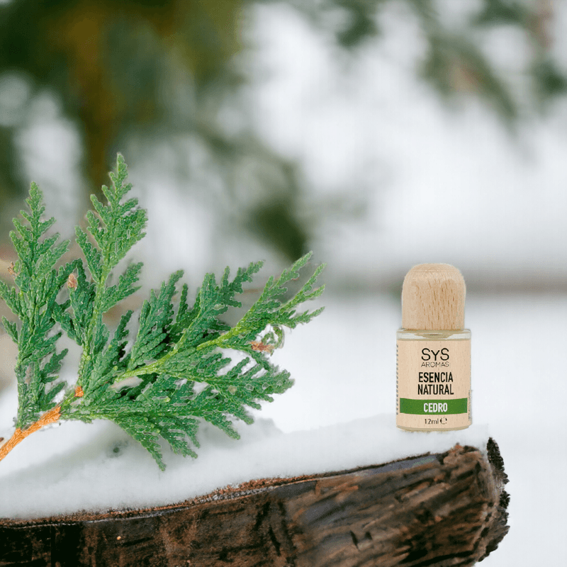 Casa si Gradina - Decoratiuni - Aromaterapie si lumanari - Uleiuri esentiale aromaterapie - Esenta naturala (ulei) aromaterapie SyS Aromas, Cedru 12 ml - Infinity.ro