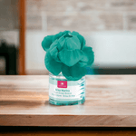 Casa si Gradina - Decoratiuni - Aromaterapie si lumanari - Uleiuri esentiale aromaterapie - Odorizant floare parfumata 0% alcool Cristalinas Briza marina, 4 saptamani, 40 ml - Infinity.ro