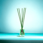 Casa si Gradina - Decoratiuni - Aromaterapie si lumanari - Odorizante camera - Odorizant camera 0% alcool Aura, 4 saptamani, Brad 30 ml - Infinity.ro