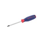 Casa si Gradina - Constructii - Scule de mana si unelte - Surubelnite - Surubelnita Torx Workpro W021262, T15, 100 mm - Infinity.ro