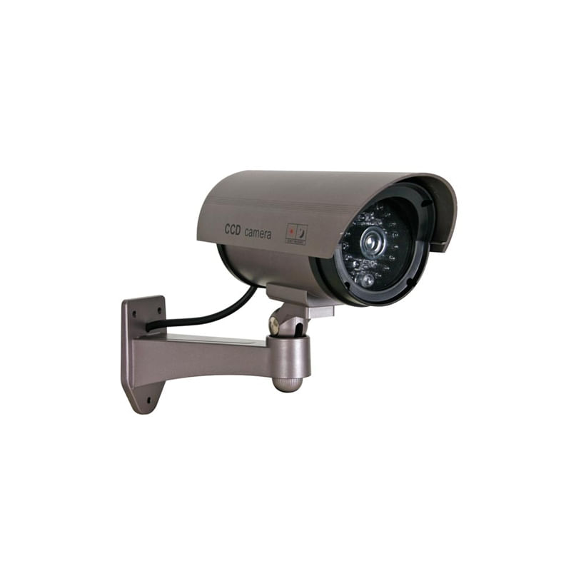 Casa si Gradina - Electrice - Smart Home - Camere de supraveghere - Camera de supraveghere falsa Perel CAMD7N, interior-exterior - Infinity.ro