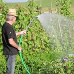 Casa si Gradina - Gradinarit si plante - Instalatii si accesorii pentru irigatii - Pompe apa - Pompa submersibila pentru apa poluata si curata GDT 1200 Guede 94240, 12 m, 1200 W - Infinity.ro