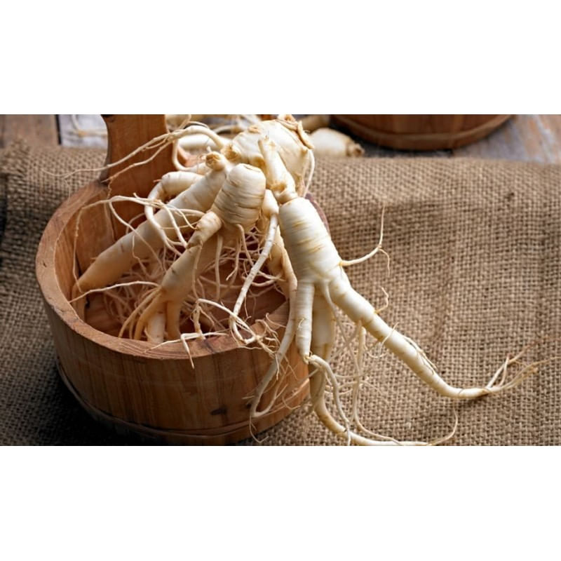 Ingrijire personala si Cosmetice - Sanatate si wellness - Suplimente alimentare - Vitamine si minerale - OstroVit Siberian Ginseng 120 Tablete - Infinity.ro