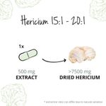 Ingrijire personala si Cosmetice - Sanatate si wellness - Suplimente alimentare - Vitamine si minerale - Vegavero Lion's Mane Extract Organic (Coama leului) - 60 Capsule - Infinity.ro