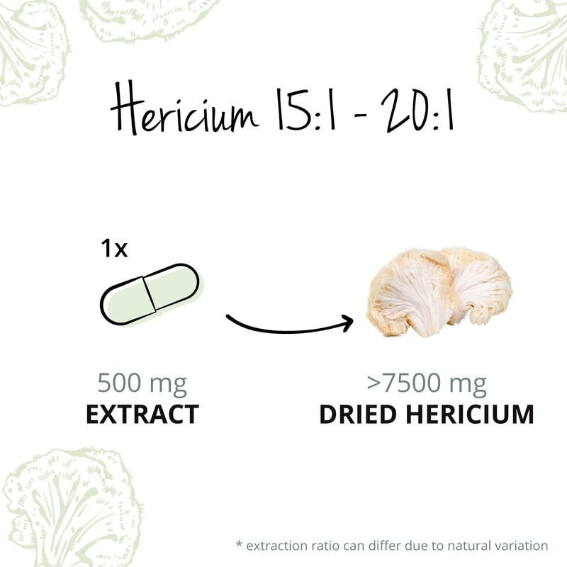 Ingrijire personala si Cosmetice - Sanatate si wellness - Suplimente alimentare - Vitamine si minerale - Vegavero Lion's Mane Extract Organic (Coama leului) - 60 Capsule - Infinity.ro