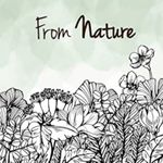 Ingrijire personala si Cosmetice - Sanatate si wellness - Suplimente alimentare - Vitamine si minerale - Vegavero Lion's Mane Extract Organic (Coama leului) - 60 Capsule - Infinity.ro