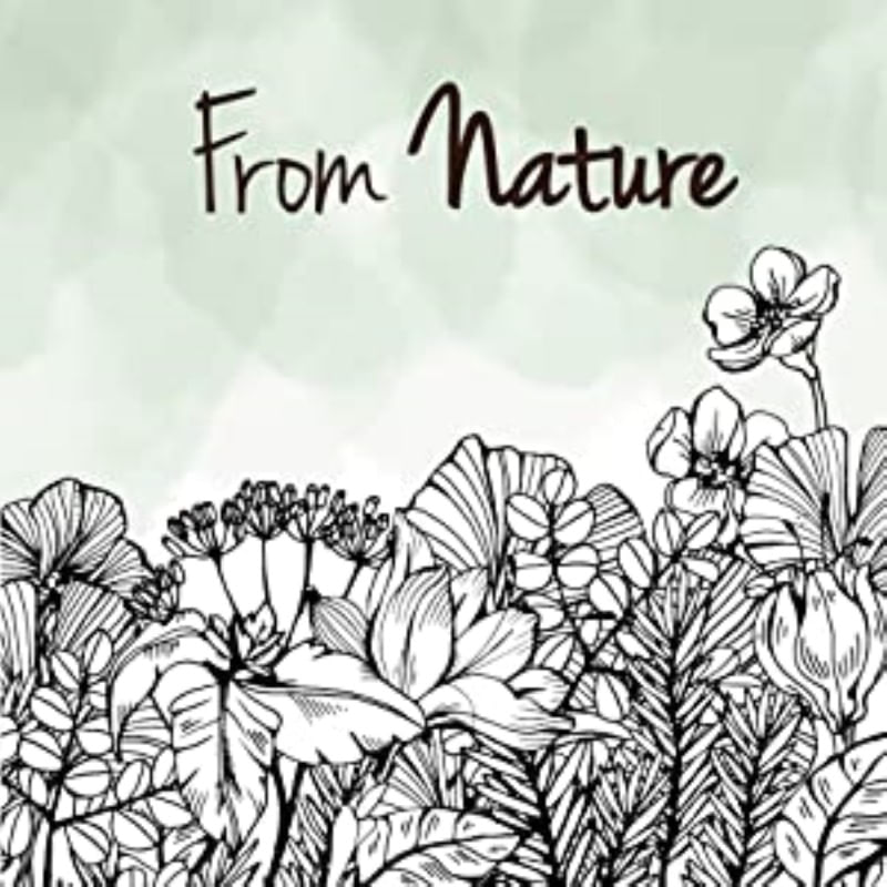 Ingrijire personala si Cosmetice - Sanatate si wellness - Suplimente alimentare - Vitamine si minerale - Vegavero Lion's Mane Extract Organic (Coama leului) - 60 Capsule - Infinity.ro