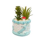 Casa si Gradina - Decoratiuni - Obiecte decorative - Plante artificiale - Aranjament Hippocampus, Verde, Plastic, 12Cm - Verde, Plastic, 12cm - Infinity.ro