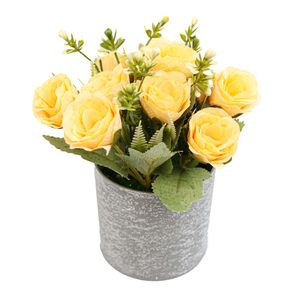 Casa si Gradina - Decoratiuni - Obiecte decorative - Infinity.ro