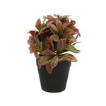 Casa si Gradina - Decoratiuni - Obiecte decorative - Plante artificiale - Aranjament In Ghiveci, Mov, Plastic, 20Cm - Mov, Plastic, 20cm - Infinity.ro