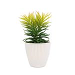 Casa si Gradina - Decoratiuni - Obiecte decorative - Plante artificiale - Planta Suculenta In Ghiveci, Alb, Plastic, 19Cm - Alb, Plastic, 19cm - Infinity.ro