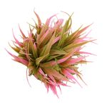 Casa si Gradina - Decoratiuni - Obiecte decorative - Plante artificiale - Aranjament In Ghiveci, Roz, Plastic, 20Cm - Roz, Plastic, 20cm - Infinity.ro