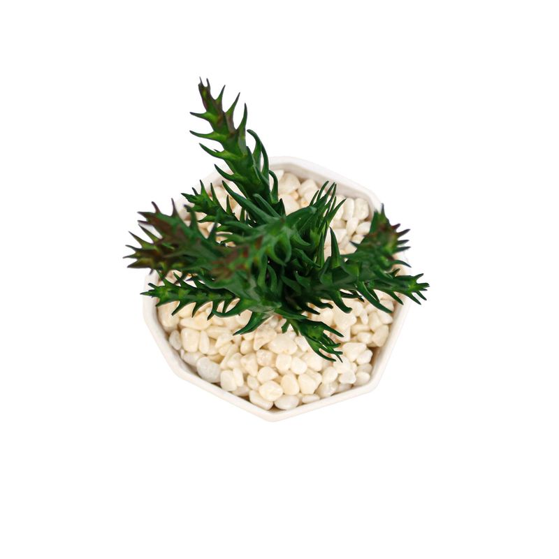Casa si Gradina - Decoratiuni - Obiecte decorative - Plante artificiale - Planta Suculenta In Ghiveci, Mov, Plastic, 18Cm - Mov, Plastic, 18cm - Infinity.ro