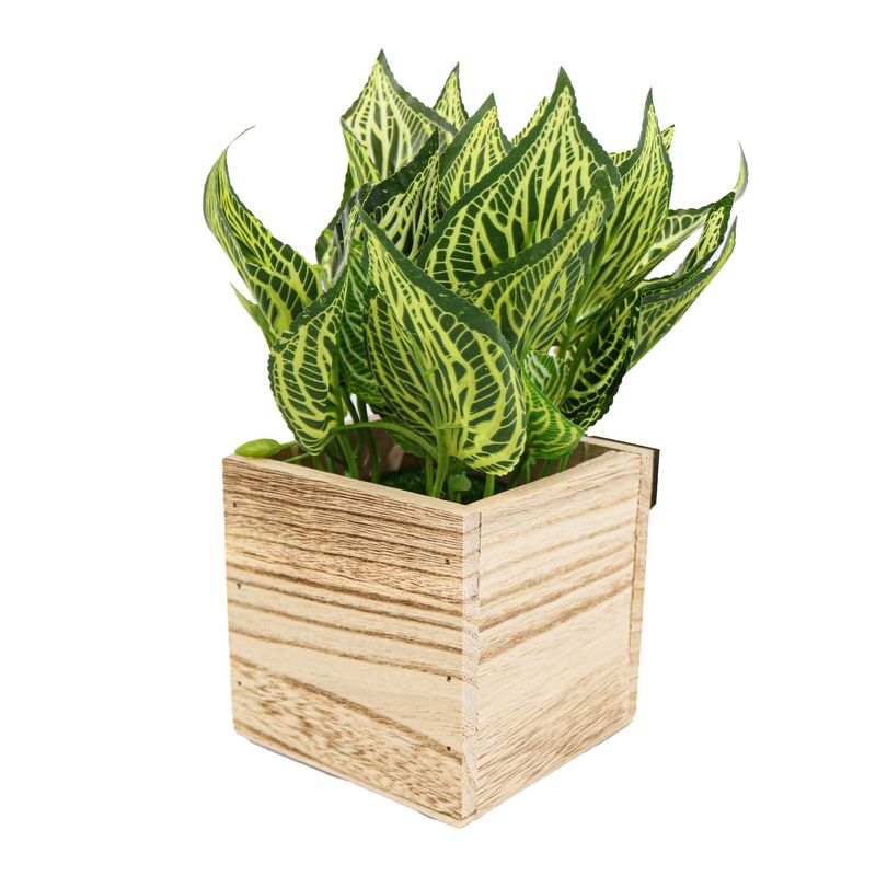 Casa si Gradina - Decoratiuni - Obiecte decorative - Plante artificiale - Ghiveci Lemn Cu Flori, Verde, Plastic, 21Cm - Verde, Plastic, 21cm - Infinity.ro