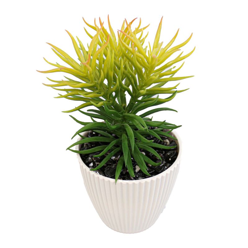 Casa si Gradina - Decoratiuni - Obiecte decorative - Plante artificiale - Planta Suculenta In Ghiveci, Alb, Plastic, 19Cm - Alb, Plastic, 19cm - Infinity.ro
