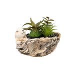 Casa si Gradina - Decoratiuni - Obiecte decorative - Plante artificiale - Aranjament Aloe Bunny, Verde, Plastic, 12Cm - Verde, Plastic, 12cm - Infinity.ro