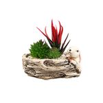 Casa si Gradina - Decoratiuni - Obiecte decorative - Plante artificiale - Aranjament Bunny, Verde, Plastic, 15Cm - Verde, Plastic, 15cm - Infinity.ro