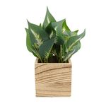 Casa si Gradina - Decoratiuni - Obiecte decorative - Plante artificiale - Ghiveci Lemn Cu Flori, Green, Plastic, 22Cm - Verde, Plastic, 22cm - Infinity.ro
