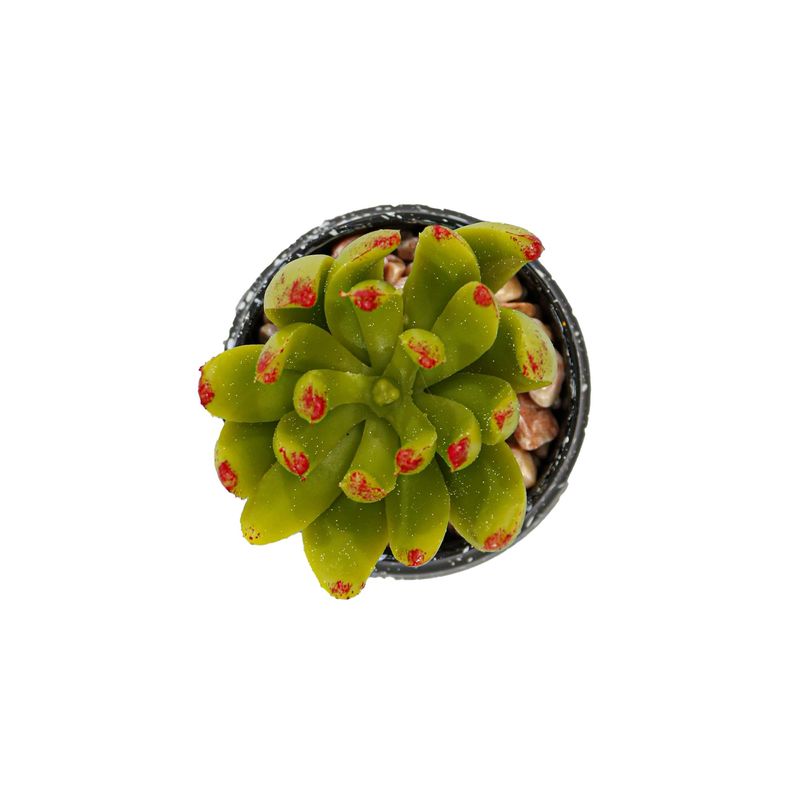 Casa si Gradina - Decoratiuni - Obiecte decorative - Plante artificiale - Vas Rotund Cu Planta Suculenta, Verde, Plastic, 8Cm - Verde, Plastic, 8cm - Infinity.ro