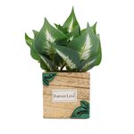 Casa si Gradina - Decoratiuni - Obiecte decorative - Plante artificiale - Ghiveci Lemn Cu Flori, Green, Plastic, 22Cm - Verde, Plastic, 22cm - Infinity.ro