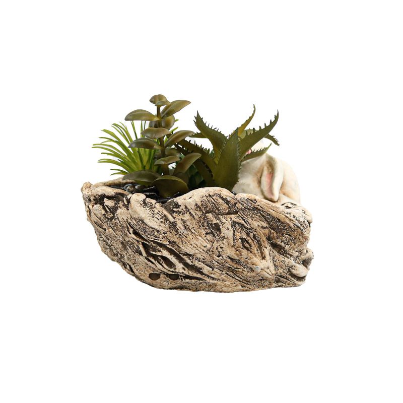 Casa si Gradina - Decoratiuni - Obiecte decorative - Plante artificiale - Aranjament Aloe Bunny, Verde, Plastic, 12Cm - Verde, Plastic, 12cm - Infinity.ro