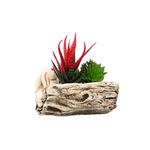 Casa si Gradina - Decoratiuni - Obiecte decorative - Plante artificiale - Aranjament Bunny, Verde, Plastic, 15Cm - Verde, Plastic, 15cm - Infinity.ro