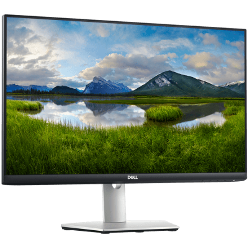 PC, gaming si accesorii - Desktop PC & monitoare - Monitoare - Monitor LED DELL S2421HS, 23.8", 1920 x 1080 @ 75 Hz, 16:9, IPS, VESA, HDMI, DP, Pivot, Height Adjustable - Infinity.ro