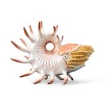 Jucarii, Copii si Bebe - Jucarii si jocuri - Figurine - Figurina pictata manual Cooperoceras - Infinity.ro