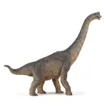 Jucarii, Copii si Bebe - Jucarii si jocuri - Figurine - Papo figurina dinozaur brachiosaurus - Infinity.ro