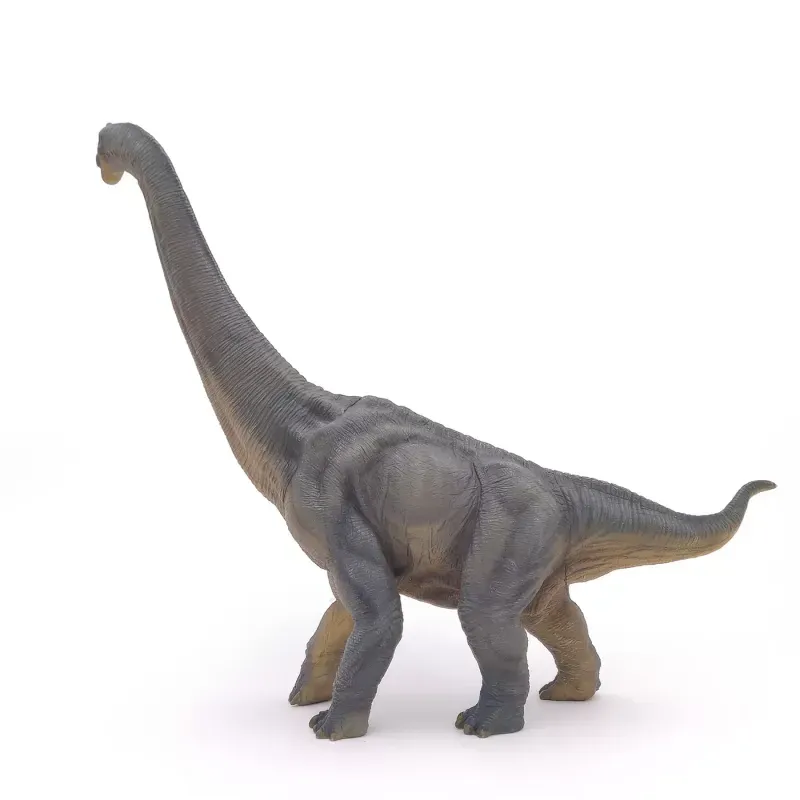 Jucarii, Copii si Bebe - Jucarii si jocuri - Figurine - Papo figurina dinozaur brachiosaurus - Infinity.ro