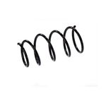 Auto si Moto - Piese auto si accesorii - Piese auto - Sisteme de amortizare - Arc spiral BMW 3 Cabriolet E36 Magnum Technology - Infinity.ro