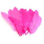 Casa si Gradina - Decoratiuni - Obiecte decorative - Accesorii decorative - Set 20 pene decorative gasca Kyrra, lungime 15 -21 cm, Roz neon - Infinity.ro