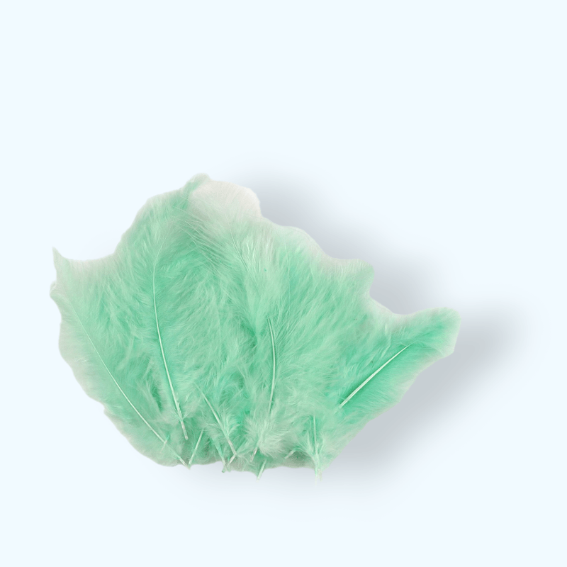 Casa si Gradina - Decoratiuni - Obiecte decorative - Accesorii decorative - Set 20 pene decorative strut, lungime 9-16 cm, Verde menta - Infinity.ro