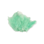 Casa si Gradina - Decoratiuni - Obiecte decorative - Accesorii decorative - Set 20 pene decorative strut, lungime 9-16 cm, Verde menta - Infinity.ro