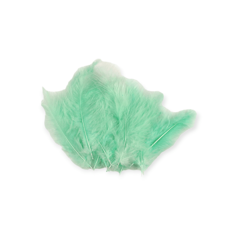 Casa si Gradina - Decoratiuni - Obiecte decorative - Accesorii decorative - Set 20 pene decorative strut, lungime 9-16 cm, Verde menta - Infinity.ro