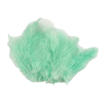 Casa si Gradina - Decoratiuni - Obiecte decorative - Accesorii decorative - Set 20 pene decorative strut, lungime 9-16 cm, Verde menta - Infinity.ro