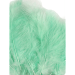 Casa si Gradina - Decoratiuni - Obiecte decorative - Accesorii decorative - Set 20 pene decorative strut, lungime 9-16 cm, Verde menta - Infinity.ro