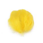 Casa si Gradina - Decoratiuni - Obiecte decorative - Accesorii decorative - Set 20 pene decorative de strut lungime 6-10 cm, Galben - Infinity.ro