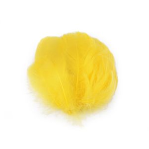 Set 20 pene decorative de strut lungime 6-10 cm, Galben