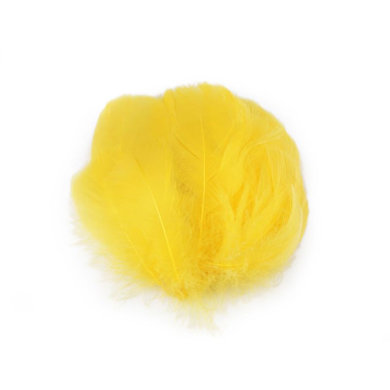 Casa si Gradina - Decoratiuni - Obiecte decorative - Accesorii decorative - Set 20 pene decorative de strut lungime 6-10 cm, Galben - Infinity.ro