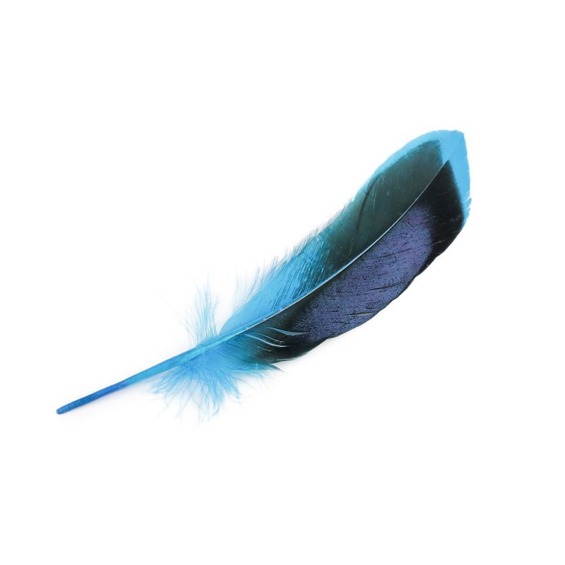 Casa si Gradina - Decoratiuni - Obiecte decorative - Accesorii decorative - Set 20 pene decorative rata, lungime 10 - 13 cm, Negru turcoaz - Infinity.ro