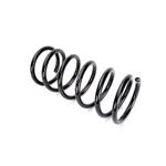 Auto si Moto - Piese auto si accesorii - Piese auto - Sisteme de amortizare - Arc spiral FIAT DUCATO Panorama 290 Magnum Technology - Infinity.ro