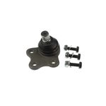 Auto si Moto - Piese auto si accesorii - Piese auto - Sisteme de directie - Pivot Ford FUSION JU FORTUNE LINE FZ3274 - Infinity.ro