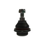 Auto si Moto - Piese auto si accesorii - Piese auto - Sisteme de directie - Pivot Citroen C6 TD FORTUNE LINE FZ3260 - Infinity.ro