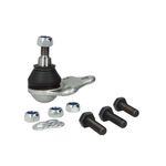 Auto si Moto/Piese auto si accesorii/Piese auto/Sisteme de directie - Pivot Renault MEGANE CC EZ0 1 FORTUNE LINE FZ3297 - Infinity.ro