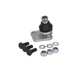 Auto si Moto/Piese auto si accesorii/Piese auto/Sisteme de directie - Pivot Renault KANGOO Express FW0 1 FORTUNE LINE FZ3294 - Infinity.ro