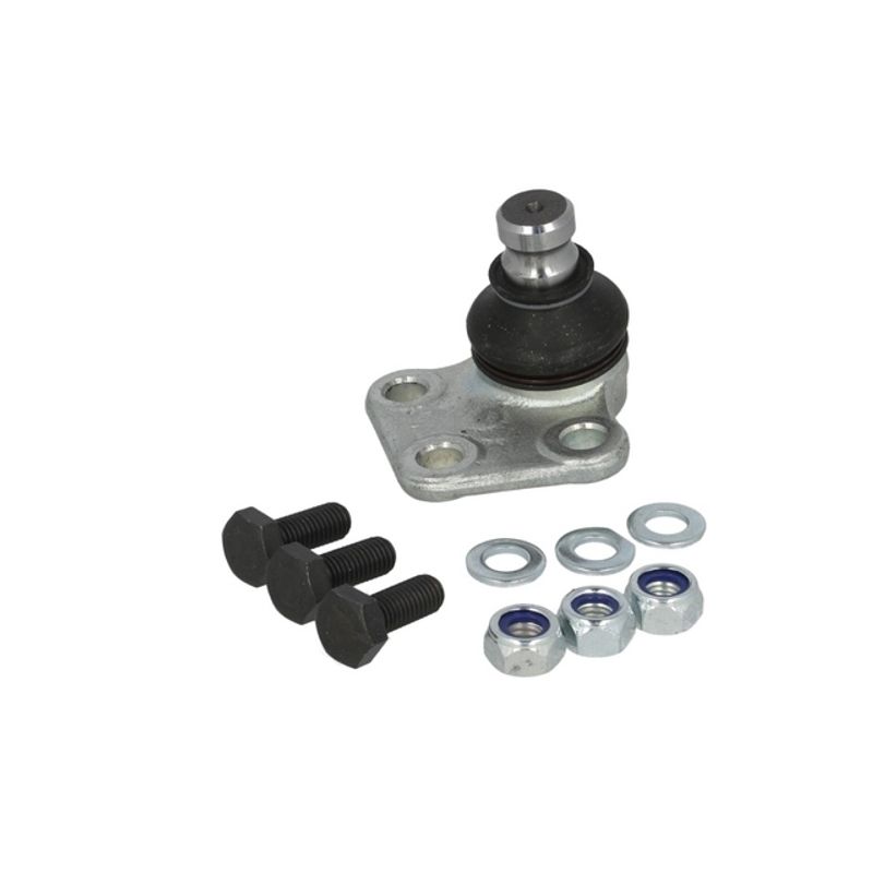 Auto si Moto/Piese auto si accesorii/Piese auto/Sisteme de directie - Pivot Renault KANGOO Express FW0 1 FORTUNE LINE FZ3294 - Infinity.ro