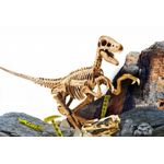 Jucarii, Copii si Bebe - Jucarii si jocuri - Jucarii & jocuri educative - Jocuri si jucarii educative - Experimentele micului geniu - Kit paleontologie Velociraptor - Infinity.ro