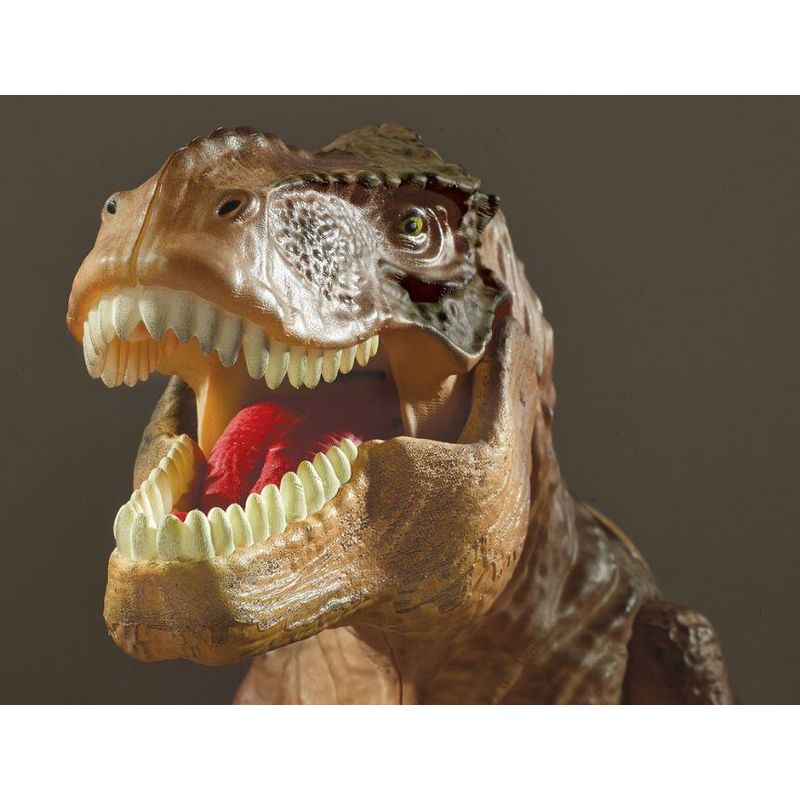 Jucarii, Copii si Bebe - Jucarii si jocuri - Jucarii & jocuri educative - Jocuri si jucarii educative - Proiector 2 in 1 - T Rex - Infinity.ro