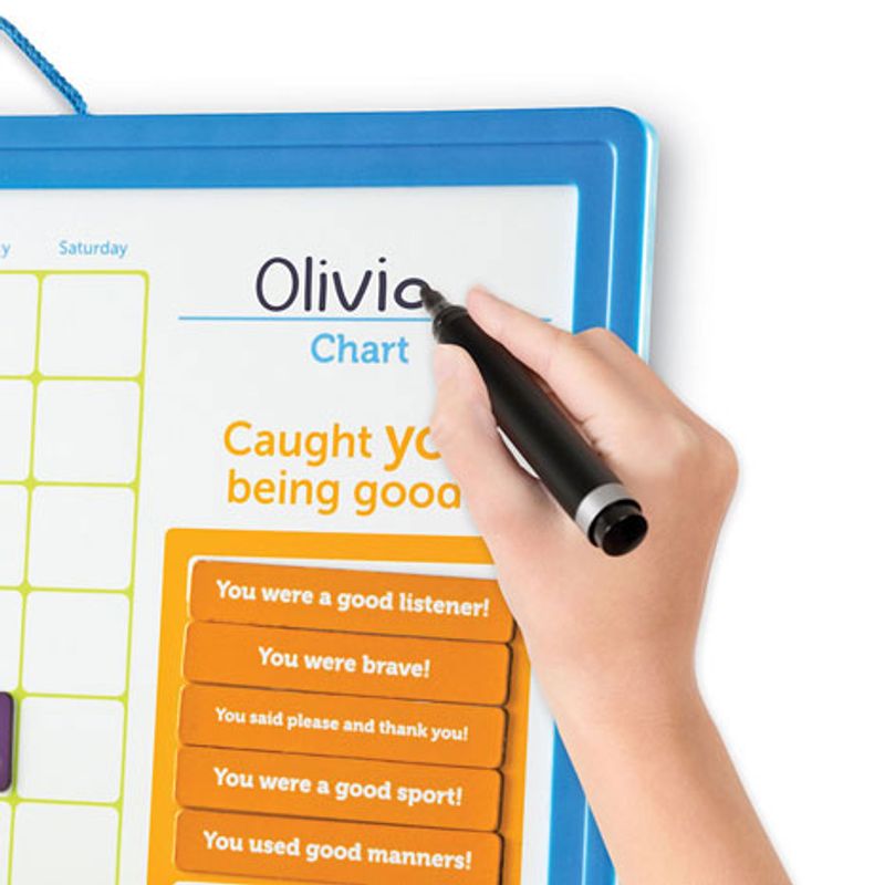 Jucarii, Copii si Bebe - Jucarii si jocuri - Jucarii & jocuri educative - Jocuri si jucarii educative - Plansa recompenselor - panou gradinita - Infinity.ro